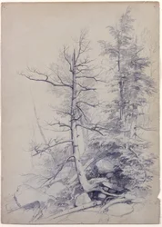 Studie van Bomen en Rotsen, Catskill Mountains, New York, 1849